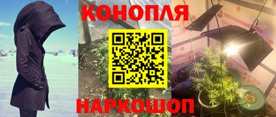 стаф Малгобек